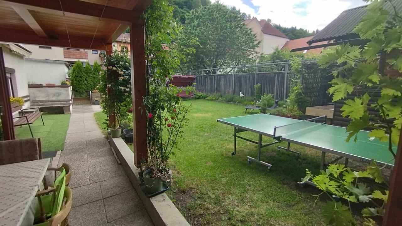 Steinadler Dog-friendly, Quiet, Garden House With Private Parking And Beautiful Views - Kertes Egy Araert Apartment *