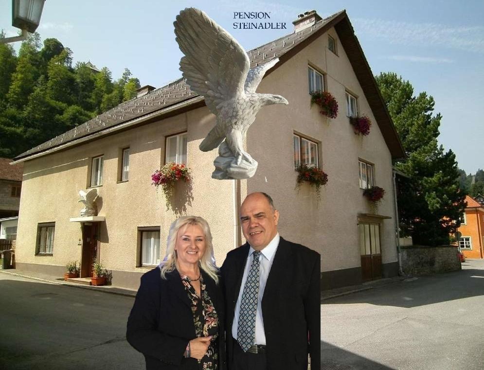 Steinadler Dog-friendly, Quiet, Garden House With Private Parking And Beautiful Views - Kertes Egy Araert * Murau